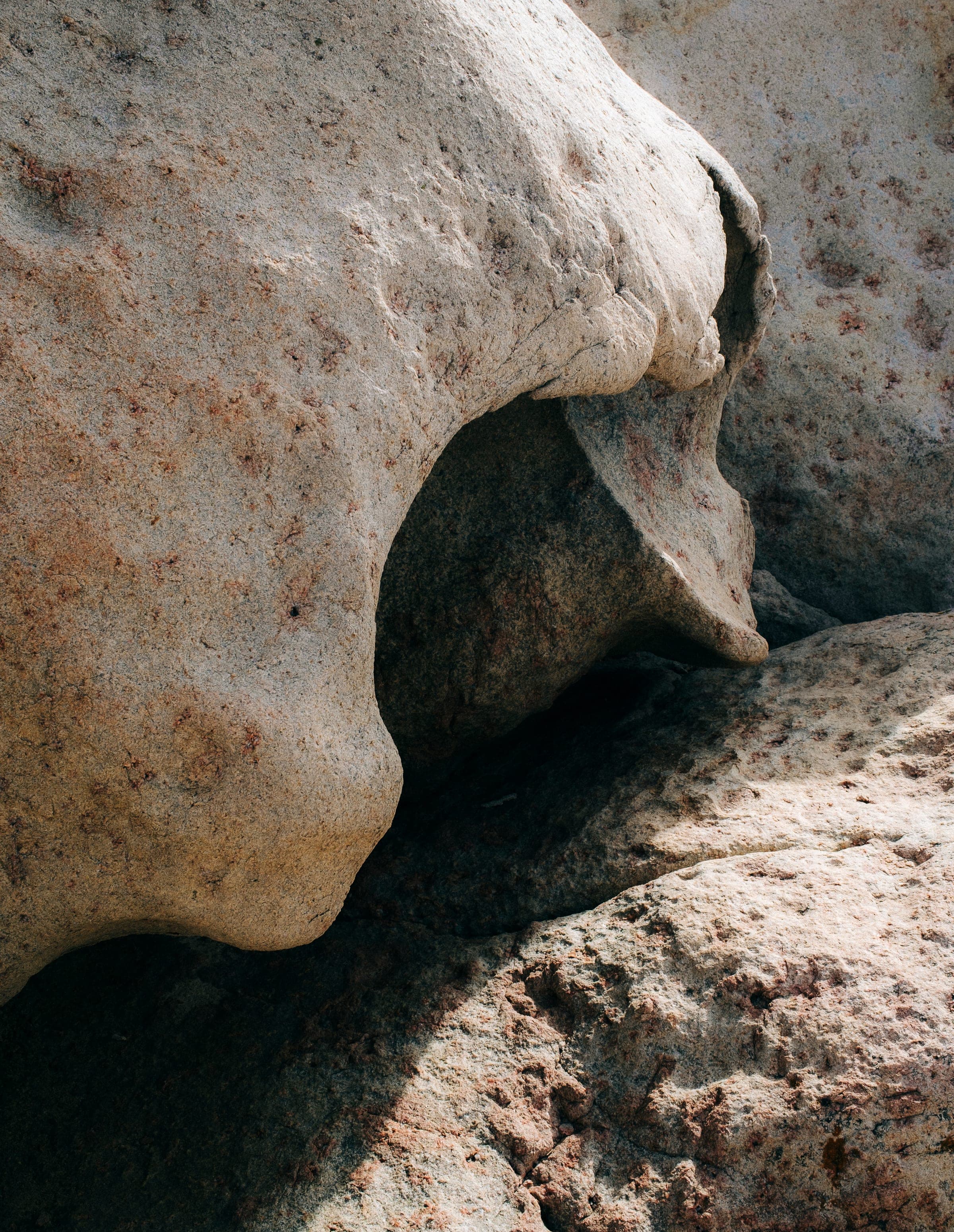 Isole Minori — portrait in warm light
