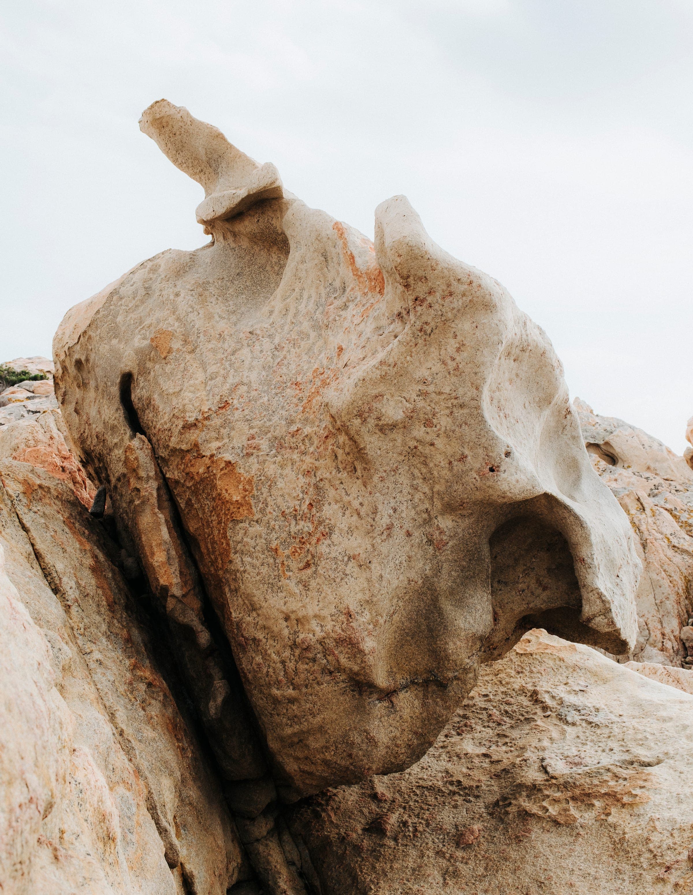 Isole Minori — interior with paintings